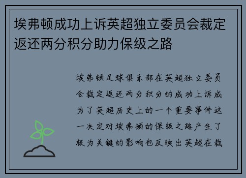 埃弗顿成功上诉英超独立委员会裁定返还两分积分助力保级之路 埃弗顿成功上诉英超独立委员会裁定返还两分积分助力保级之路