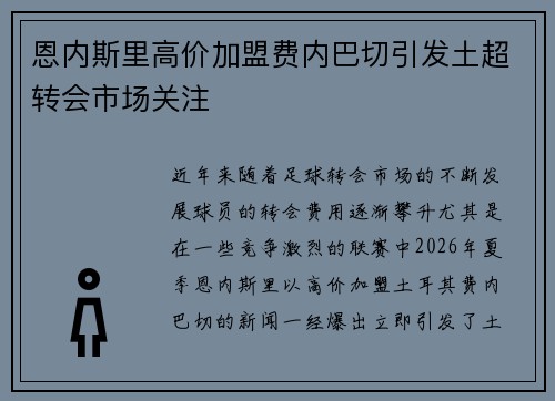 恩内斯里高价加盟费内巴切引发土超转会市场关注 恩内斯里高价加盟费内巴切引发土超转会市场关注