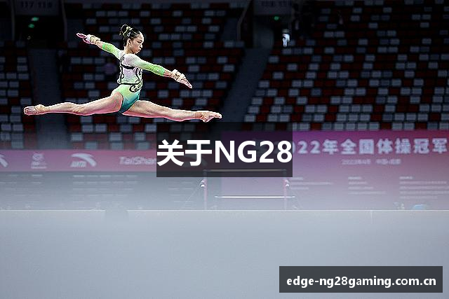 关于NG28